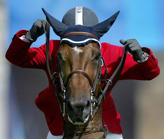 equestrian.jpg